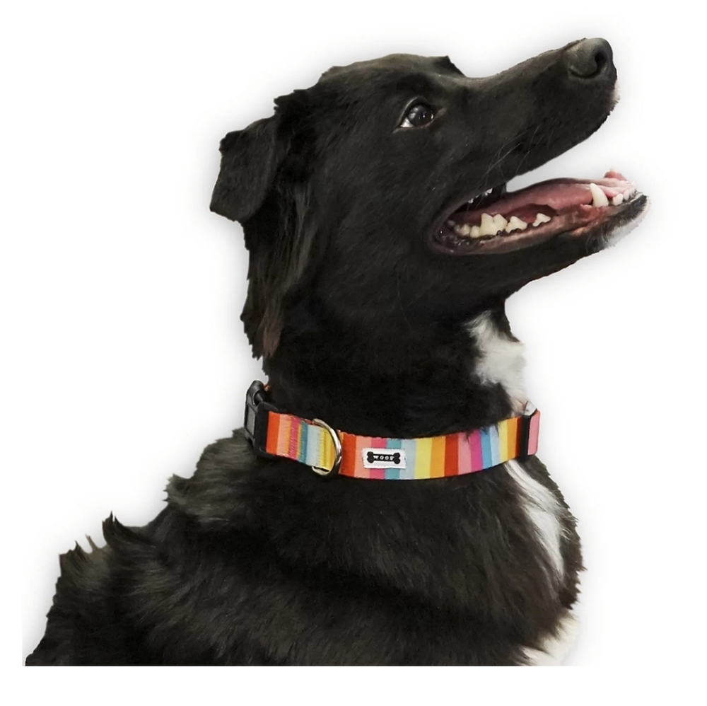 Woof Rainbow Dog Collar by Woof NWT